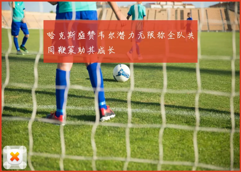 哈克斯盛赞韦尔潜力无限称全队共同鞭策助其成长