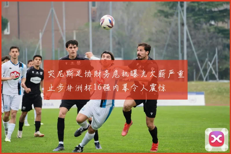 突尼斯足协财务危机曝光欠薪严重止步非洲杯16强内幕令人震惊