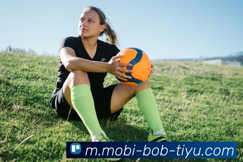 BOB体育平台生态图