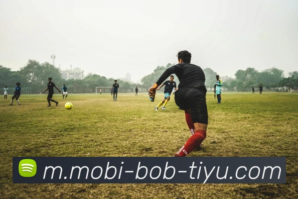 BOB体育APP 封面图